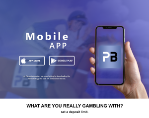 Palmerbet Mobile App